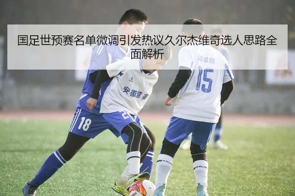 国足世预赛名单微调引发热议久尔杰维奇选人思路全面解析