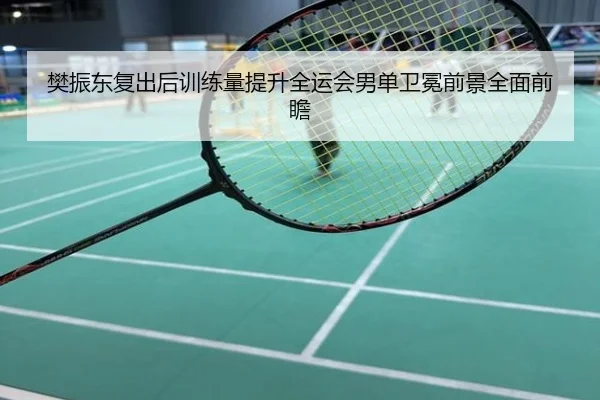 樊振东复出后训练量提升全运会男单卫冕前景全面前瞻