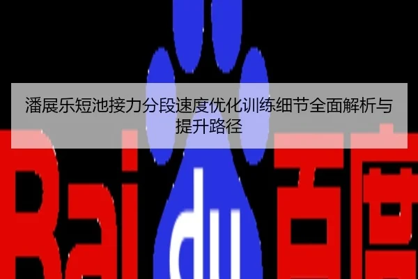 潘展乐短池接力分段速度优化训练细节全面解析与提升路径